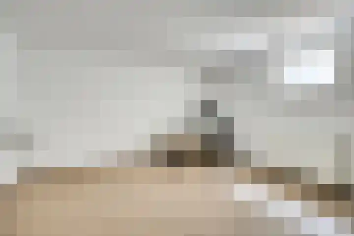 Zandhagedis 34 Eindhoven thumbnail 26