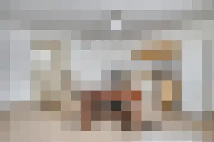 Zandhagedis 34 Eindhoven thumbnail 27