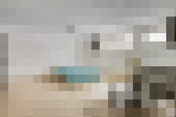 Zandhagedis 34 Eindhoven thumbnail 29