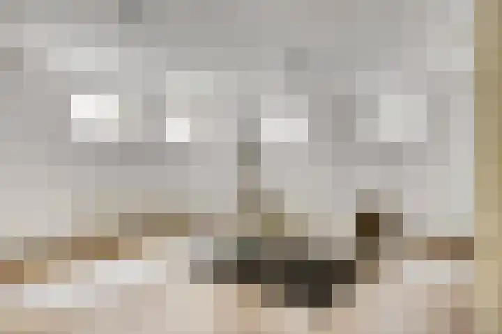Zandhagedis 34 Eindhoven thumbnail 31