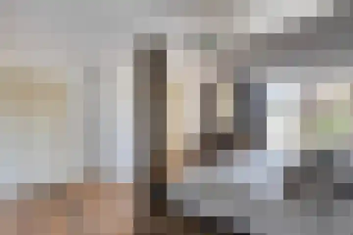 Zandhagedis 34 Eindhoven thumbnail 37