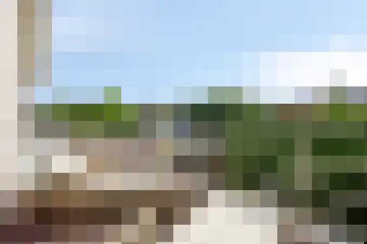 Zandhagedis 34 Eindhoven thumbnail 39