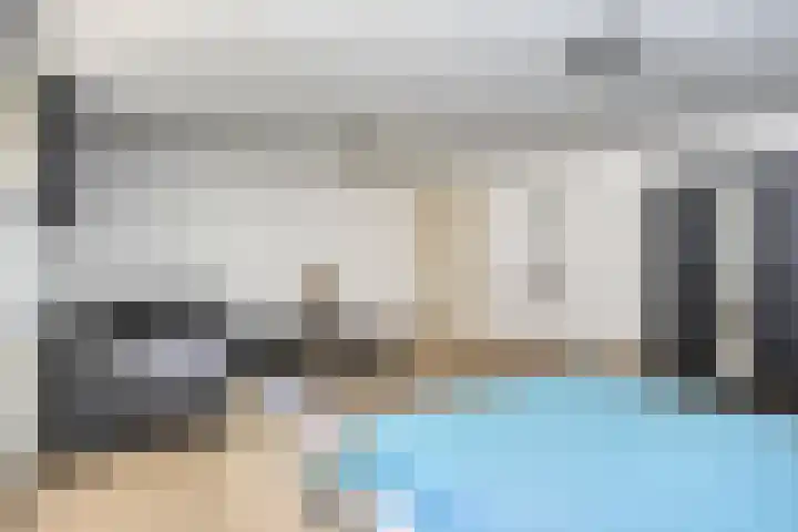 Zandhagedis 34 Eindhoven thumbnail 4