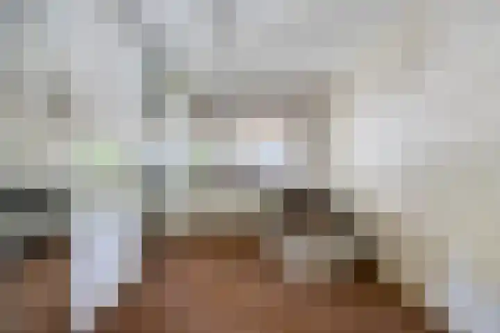 Zandhagedis 34 Eindhoven thumbnail 40