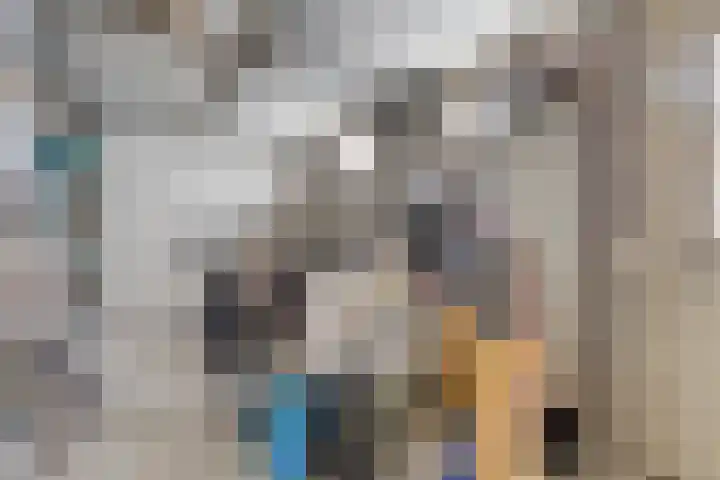 Zandhagedis 34 Eindhoven thumbnail 47