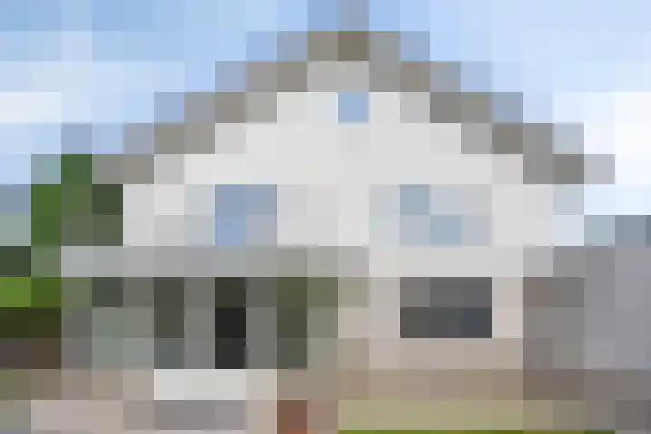 Zandhagedis 34 Eindhoven thumbnail 48
