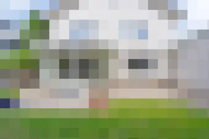Zandhagedis 34 Eindhoven thumbnail 5