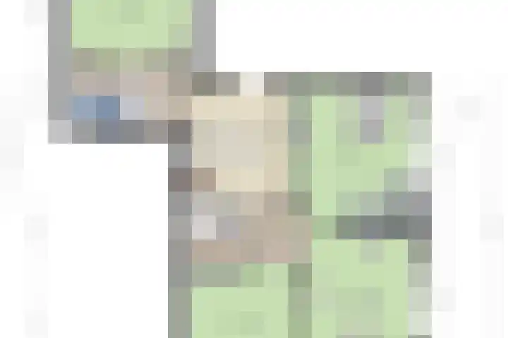 Zandhagedis 34 Eindhoven thumbnail 54