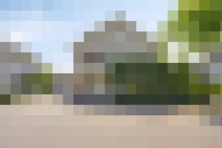 Zandhagedis 34 Eindhoven thumbnail 6