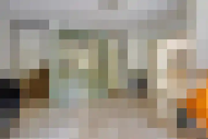 Zandhagedis 34 Eindhoven thumbnail 7