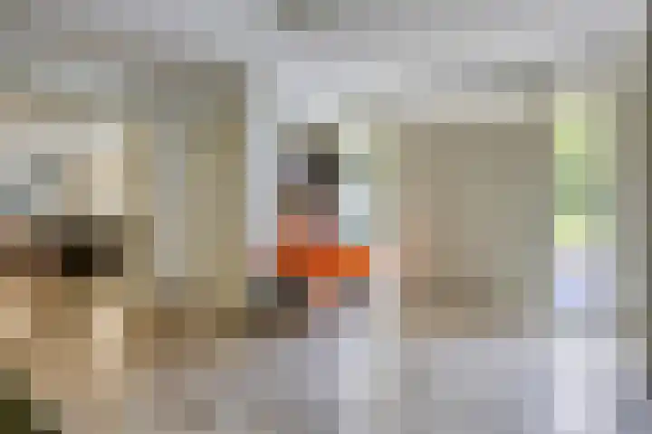 Zandhagedis 34 Eindhoven thumbnail 8
