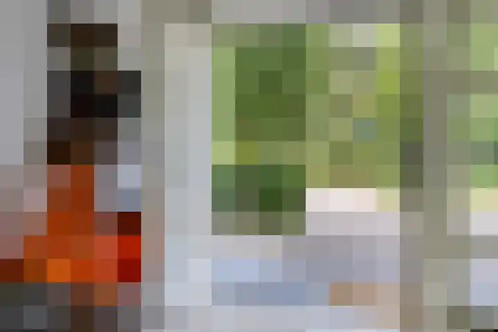 Zandhagedis 34 Eindhoven thumbnail 9