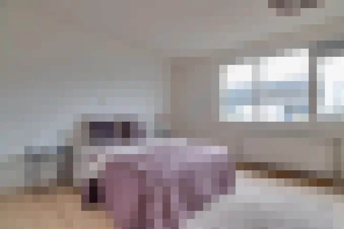 Zandhamel 33 Assen thumbnail 18