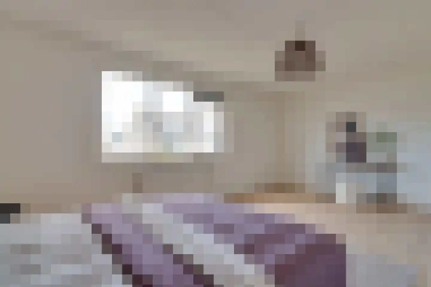 Zandhamel 33 Assen thumbnail 19