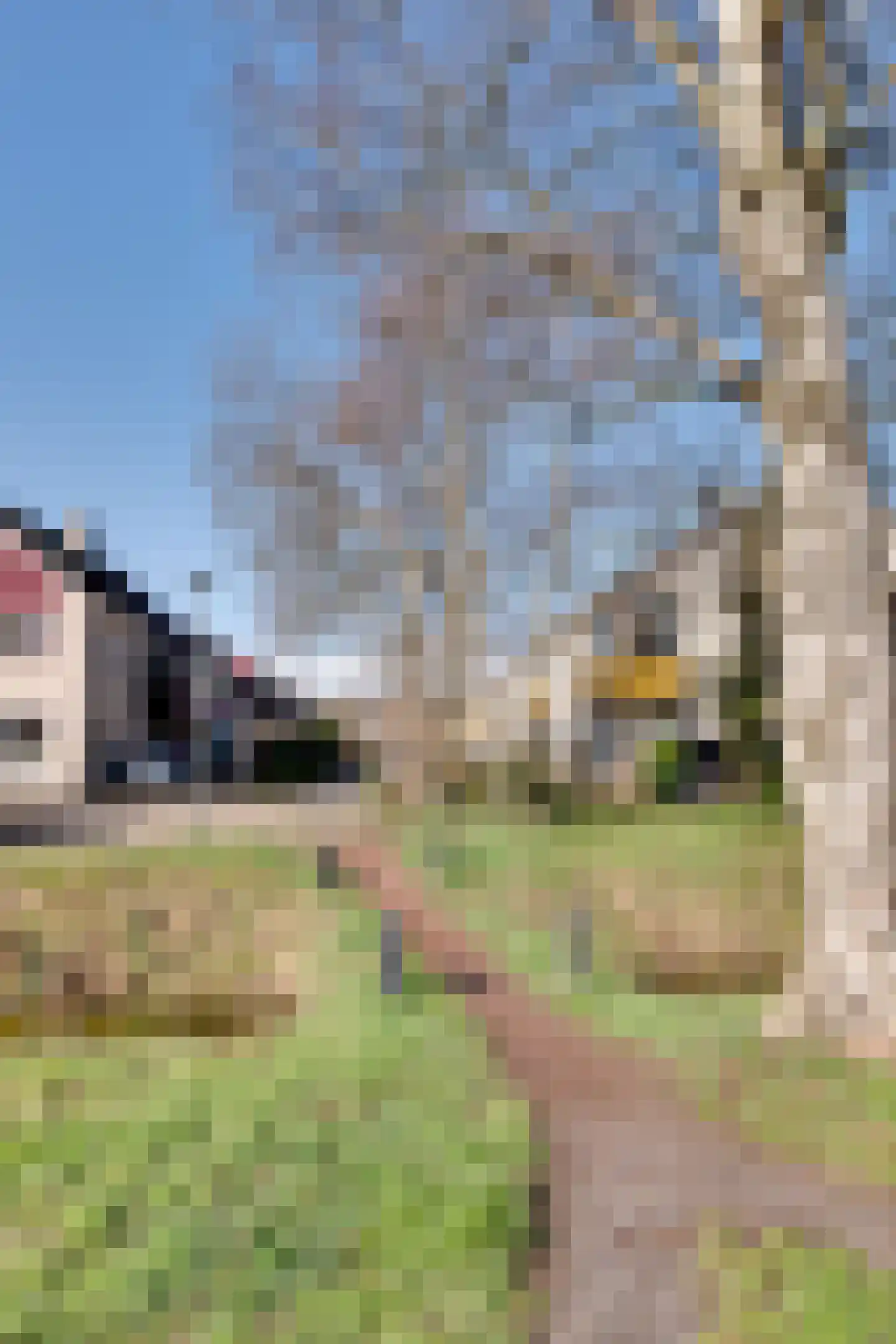 Zandhamel 33 Assen thumbnail 36