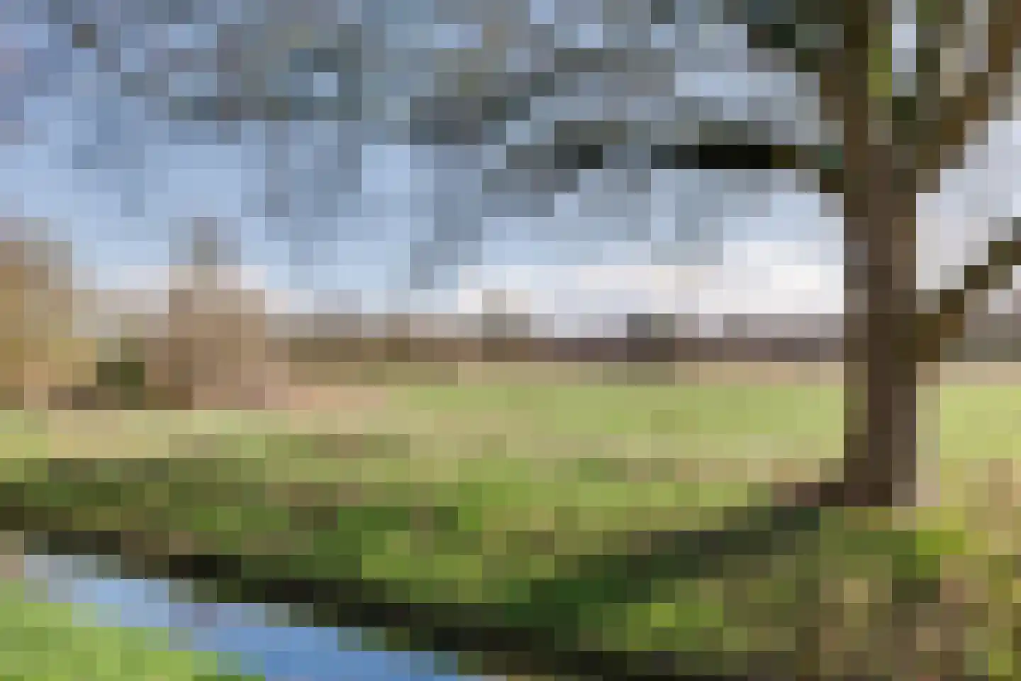 Zandhamel 33 Assen thumbnail 38