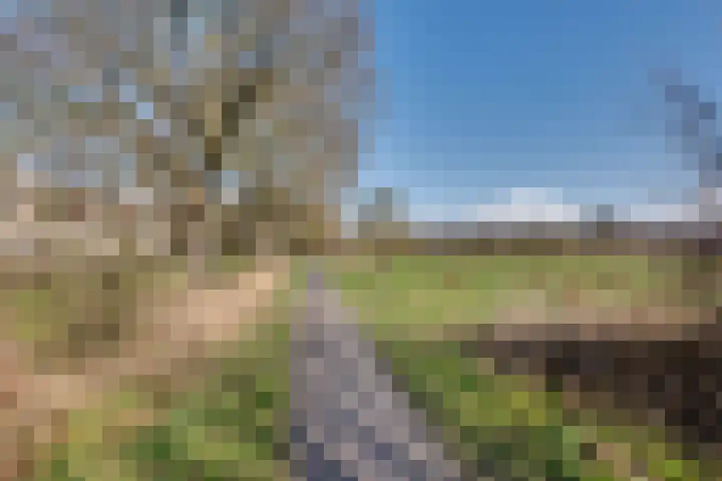 Zandhamel 33 Assen thumbnail 39
