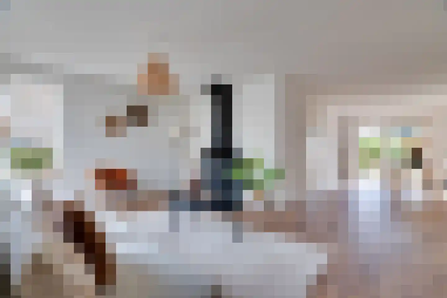 Zandhamel 33 Assen thumbnail 4