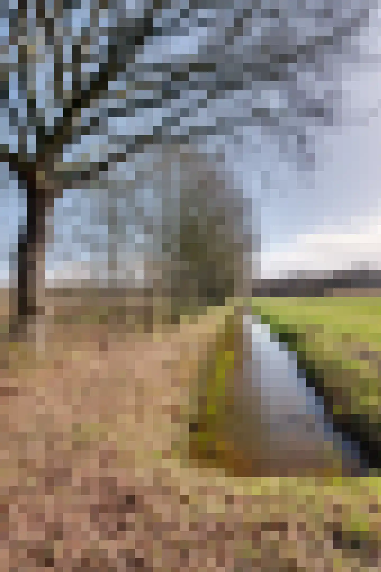 Zandhamel 33 Assen thumbnail 40