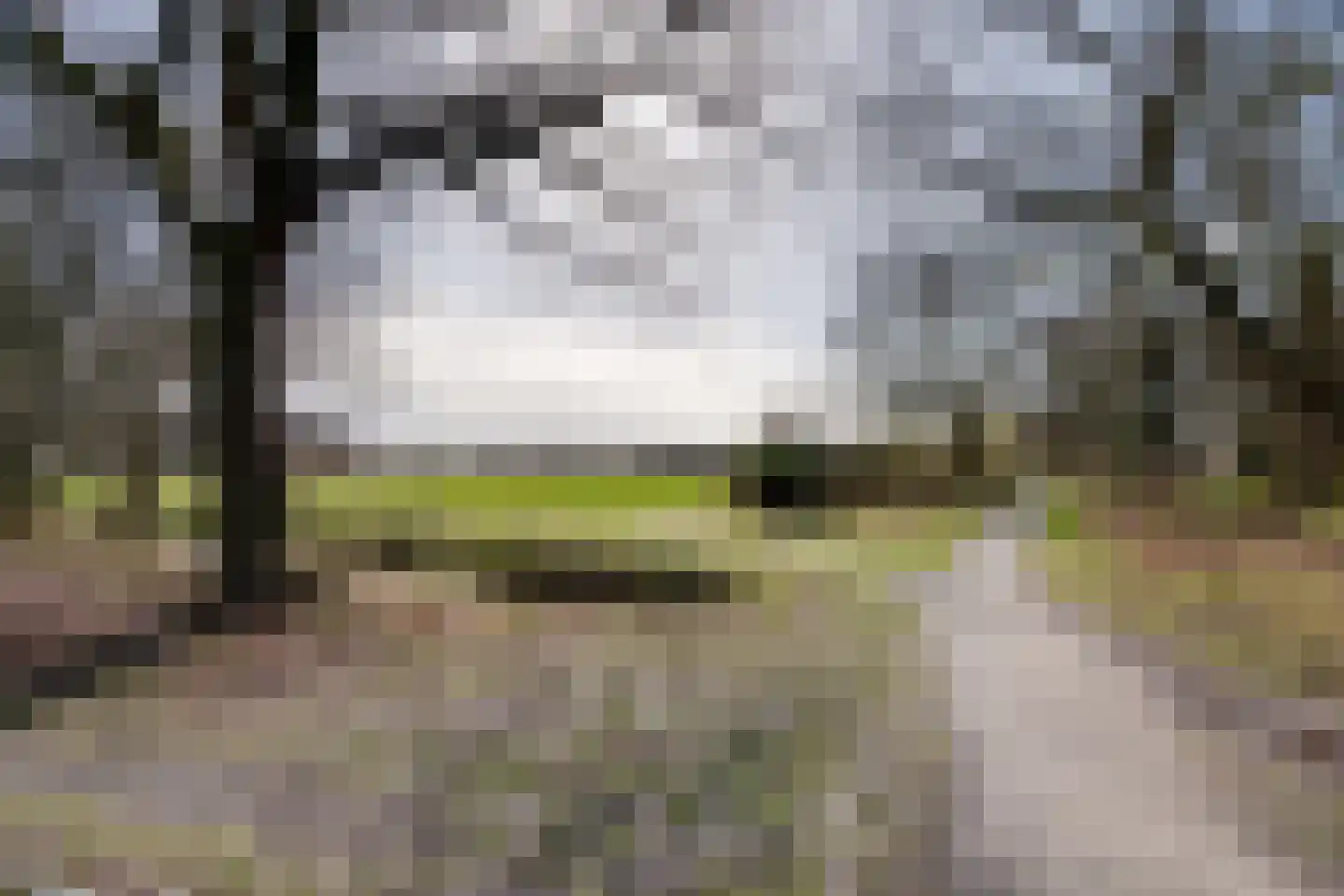 Zandhamel 33 Assen thumbnail 41