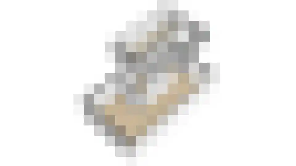 Zandhamel 33 Assen thumbnail 43