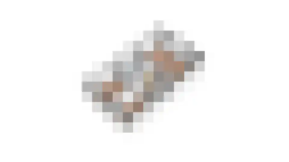 Zandhamel 33 Assen thumbnail 45