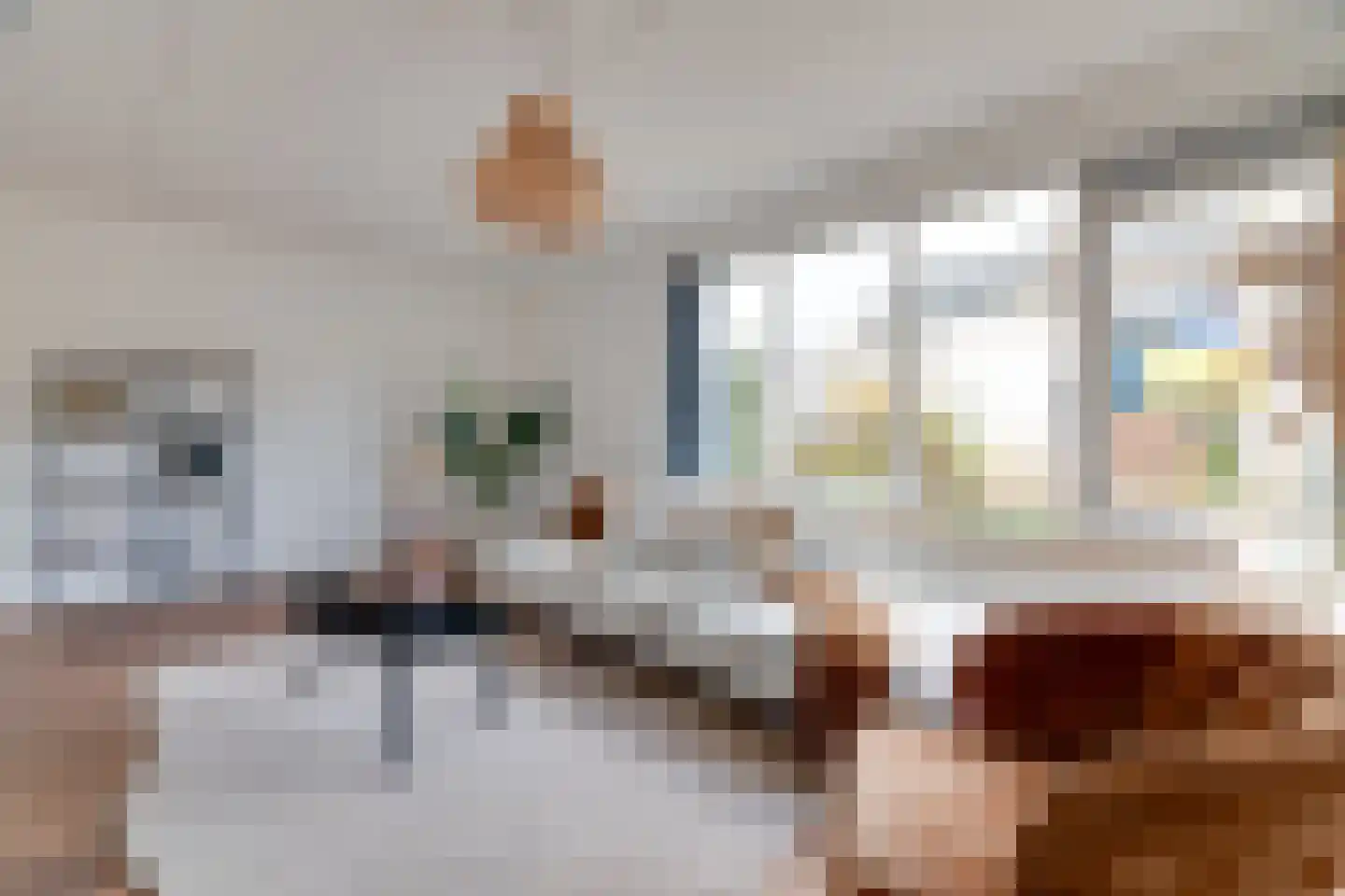 Zandhamel 33 Assen thumbnail 5