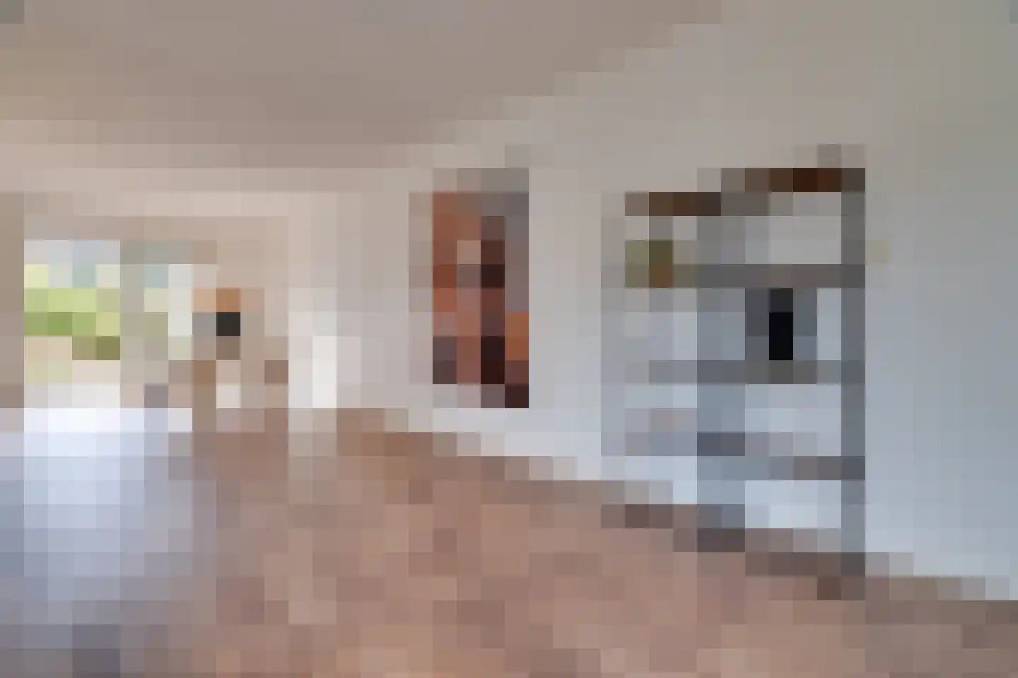 Zandhamel 33 Assen thumbnail 6