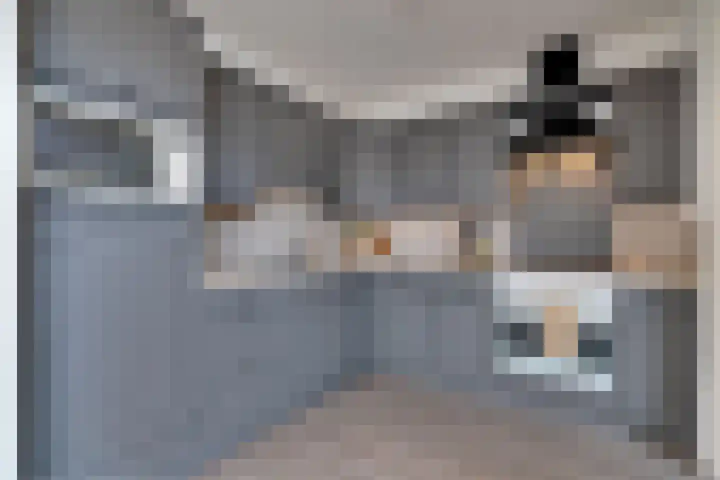 Zandhamel 33 Assen thumbnail 9