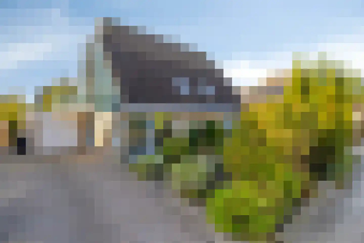 Zandhamel 8 Assen