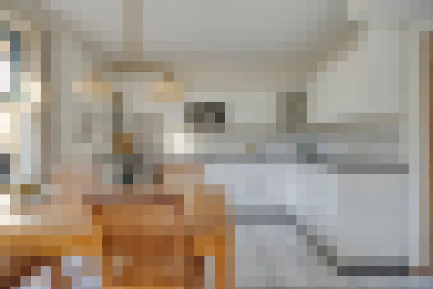 Zandhamel 8 Assen thumbnail 10