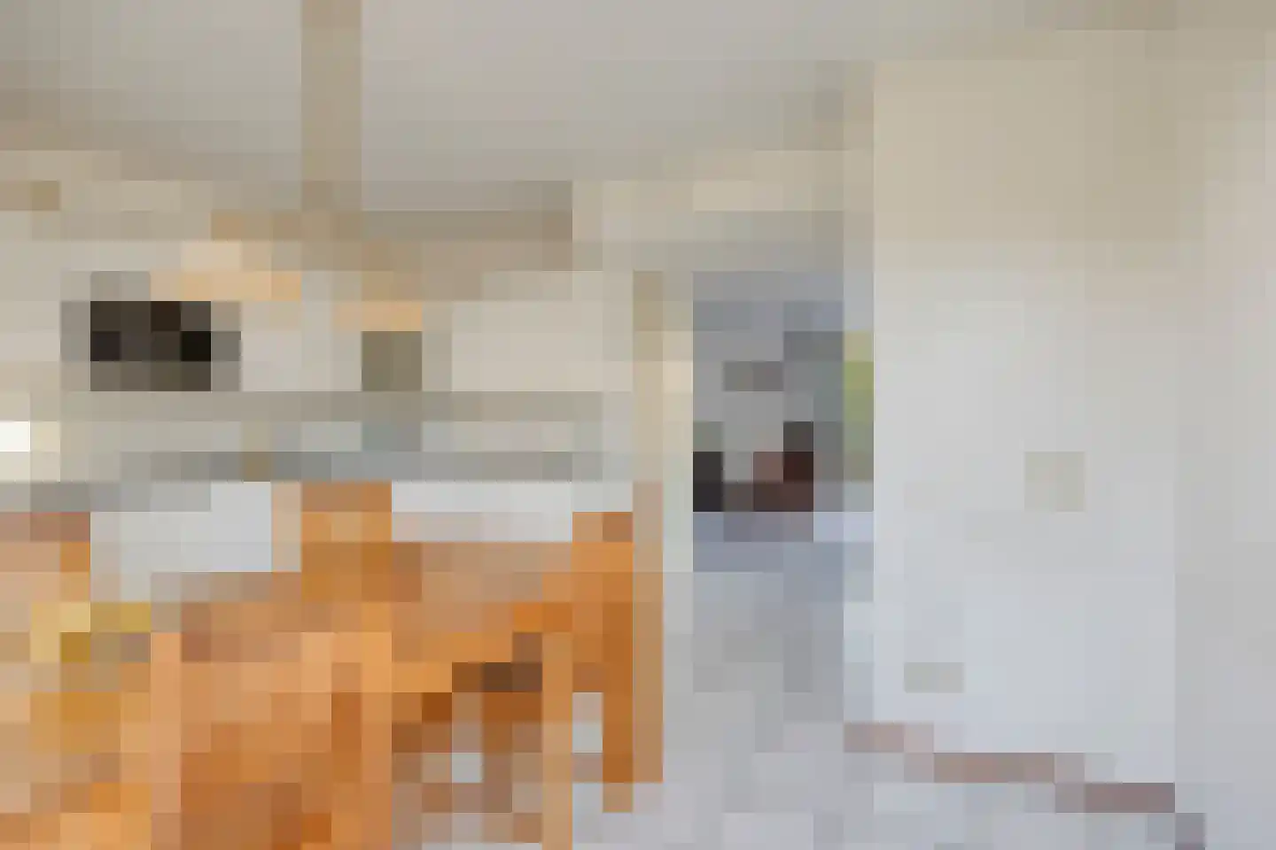 Zandhamel 8 Assen thumbnail 12