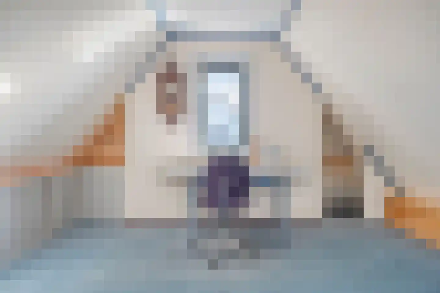Zandhamel 8 Assen thumbnail 23