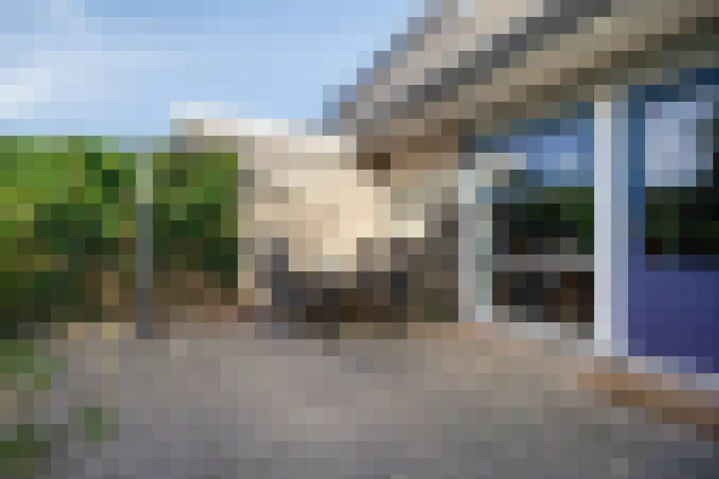 Zandhamel 8 Assen thumbnail 25