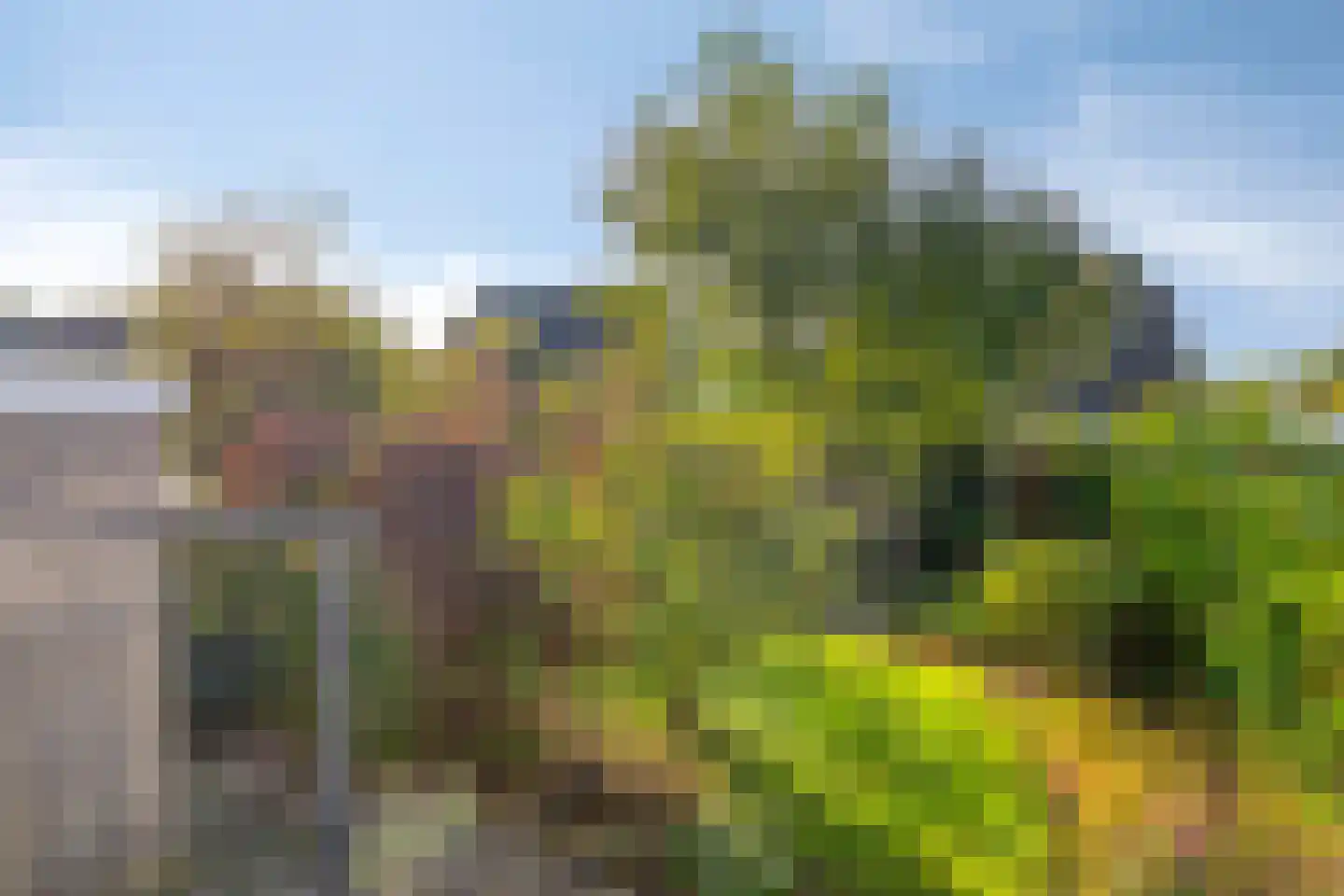 Zandhamel 8 Assen thumbnail 27