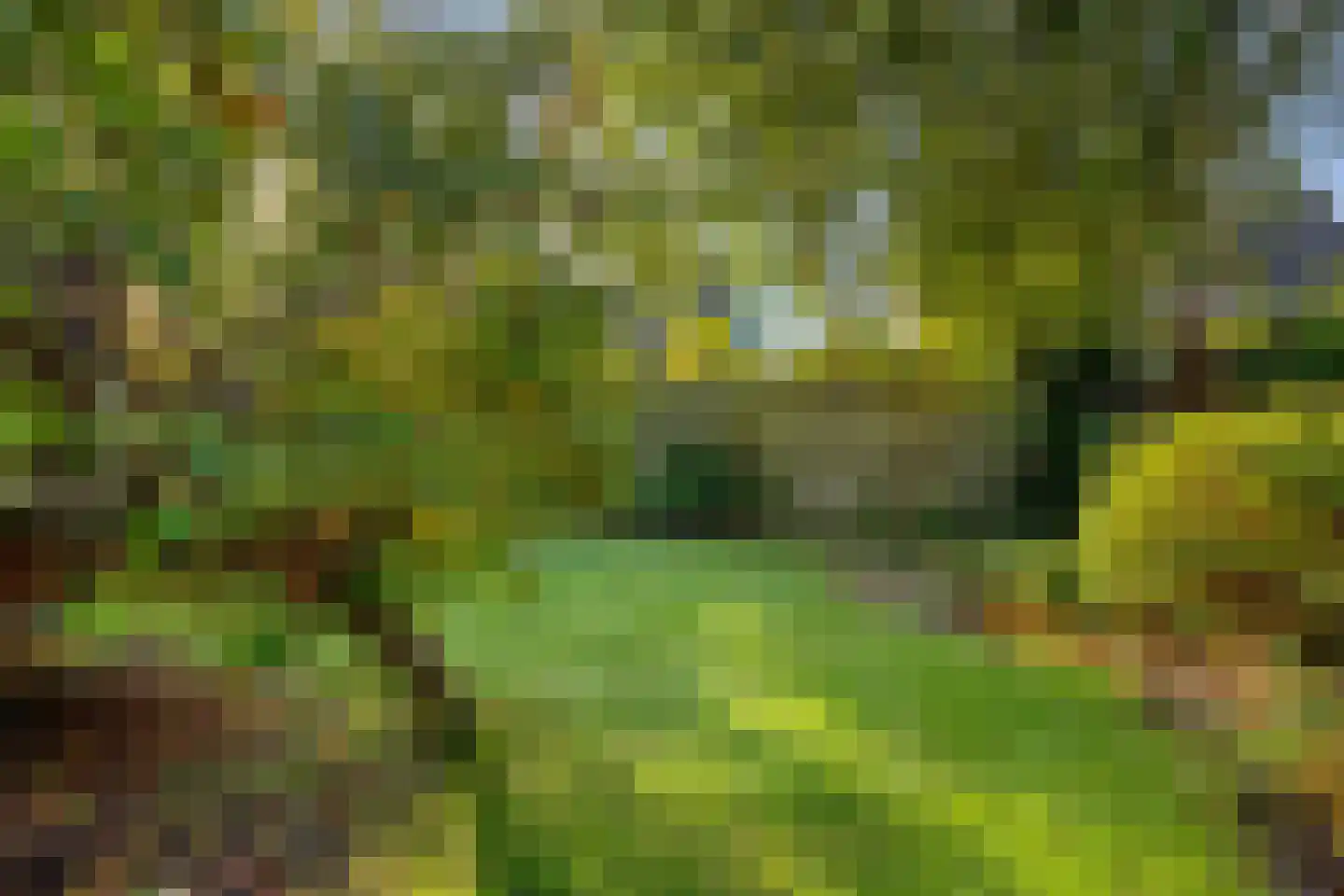 Zandhamel 8 Assen thumbnail 28