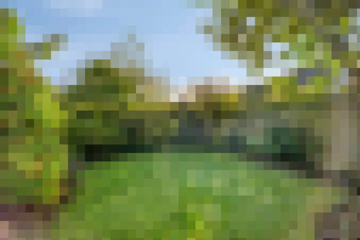 Zandhamel 8 Assen thumbnail 29