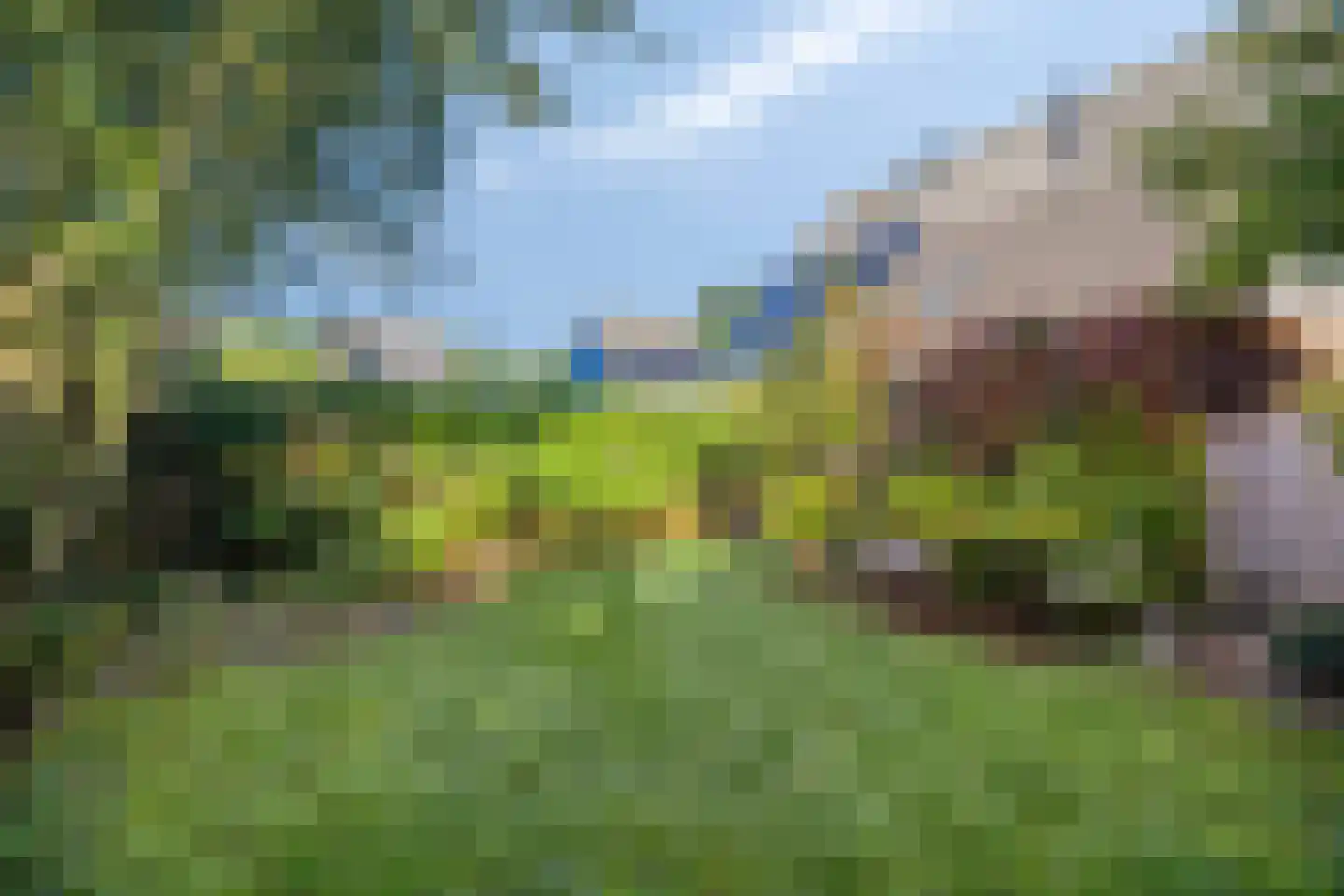 Zandhamel 8 Assen thumbnail 30
