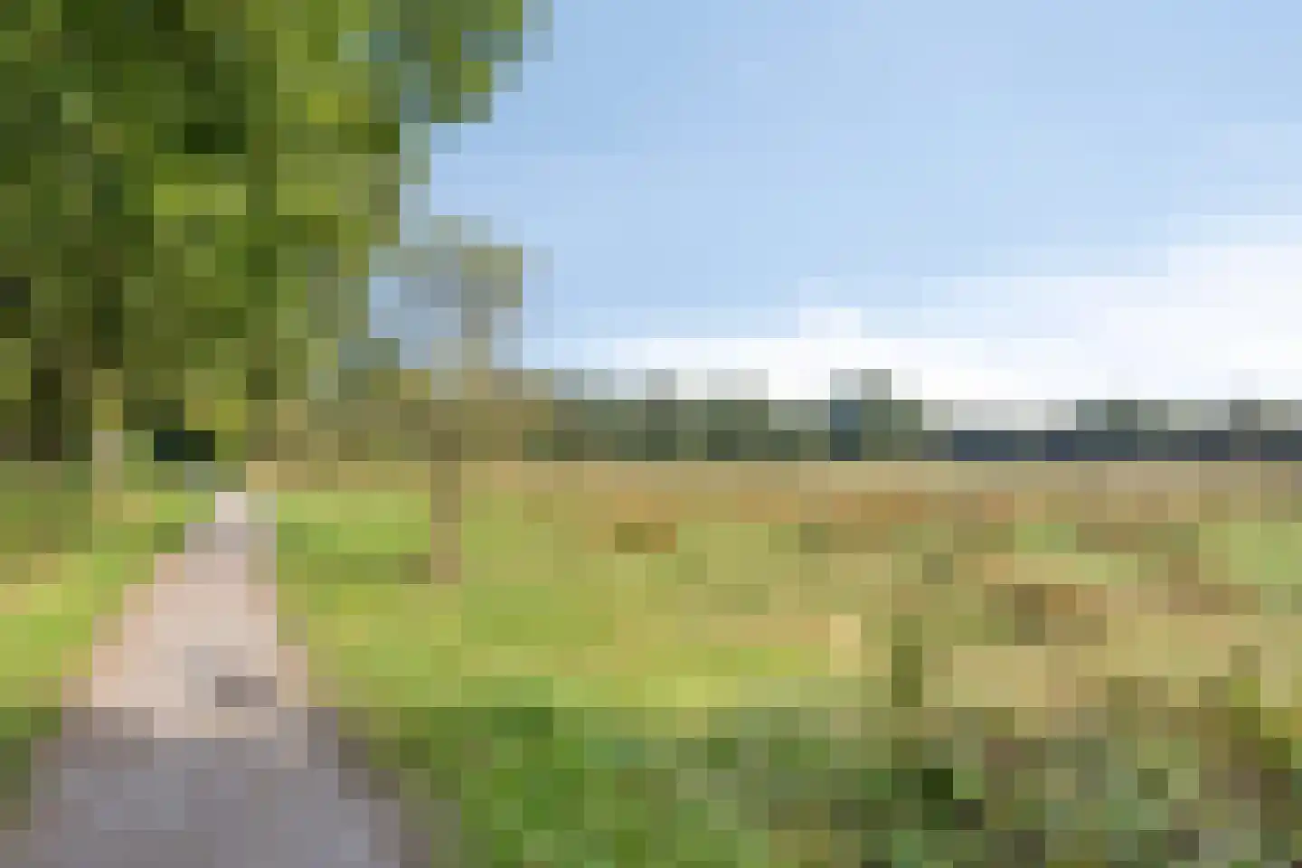 Zandhamel 8 Assen thumbnail 31