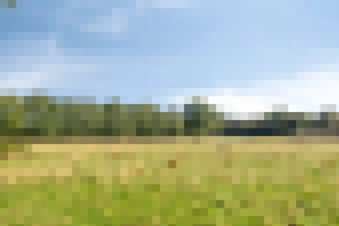 Zandhamel 8 Assen thumbnail 32