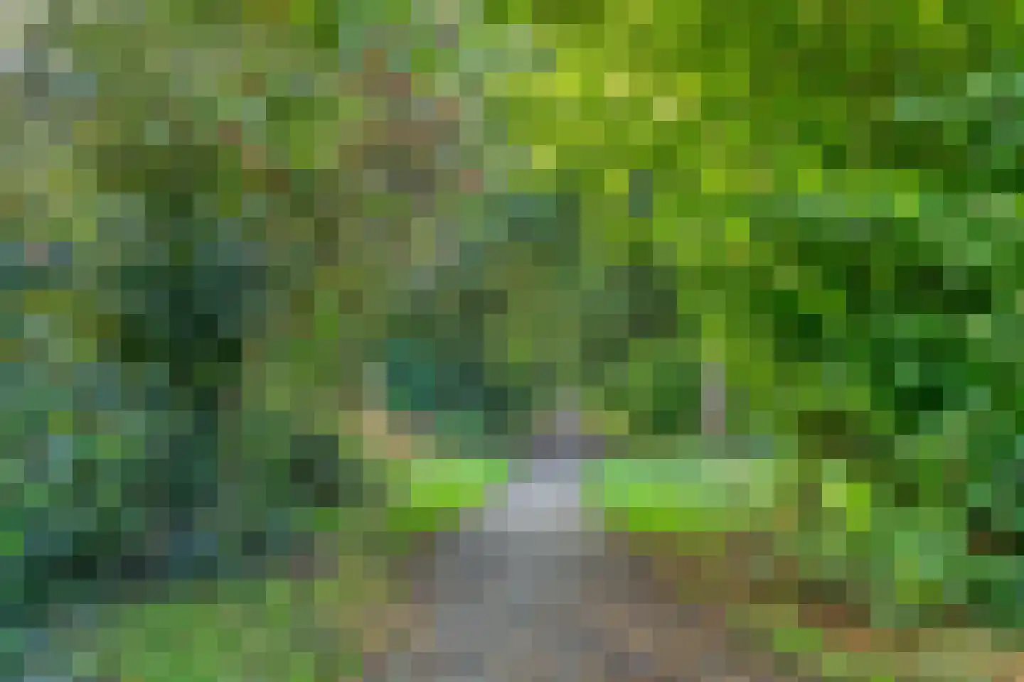 Zandhamel 8 Assen thumbnail 33