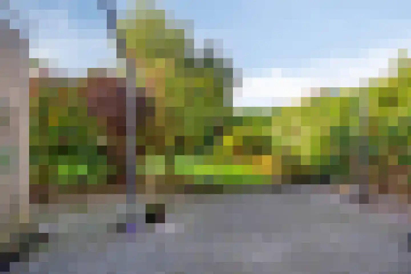 Zandhamel 8 Assen thumbnail 4