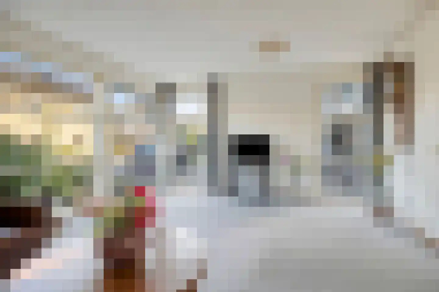 Zandhamel 8 Assen thumbnail 7