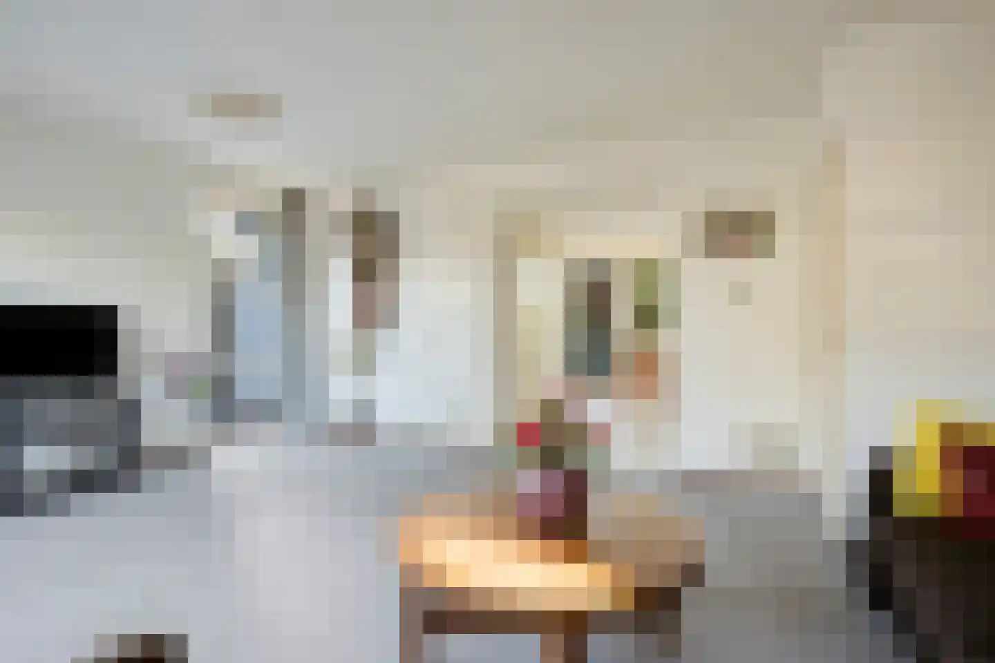 Zandhamel 8 Assen thumbnail 9