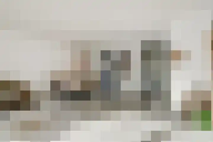 Zandhaver 20 Katwijk thumbnail 15