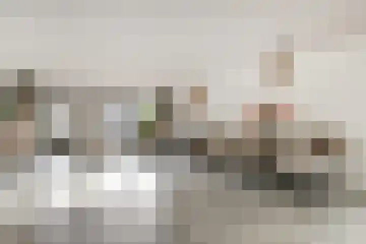 Zandhaver 20 Katwijk thumbnail 17