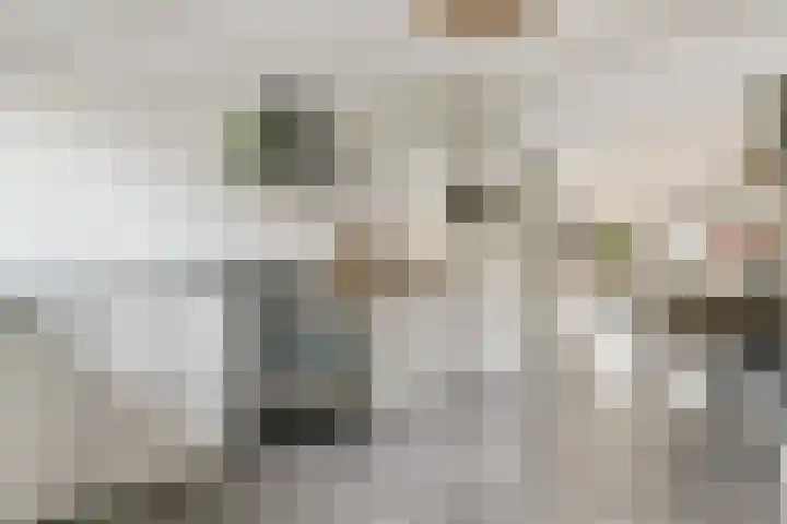 Zandhaver 20 Katwijk thumbnail 18