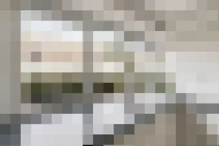 Zandhaver 20 Katwijk thumbnail 20
