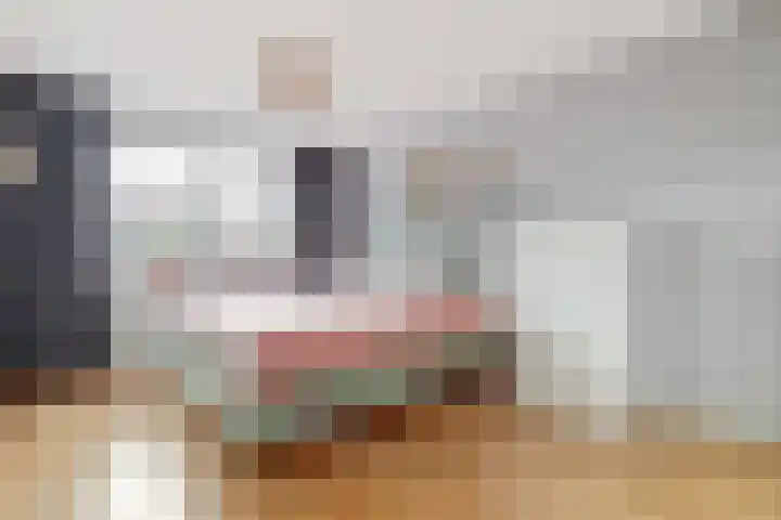 Zandhaver 20 Katwijk thumbnail 22