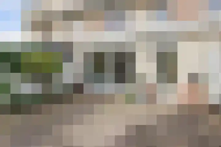 Zandhaver 20 Katwijk thumbnail 37